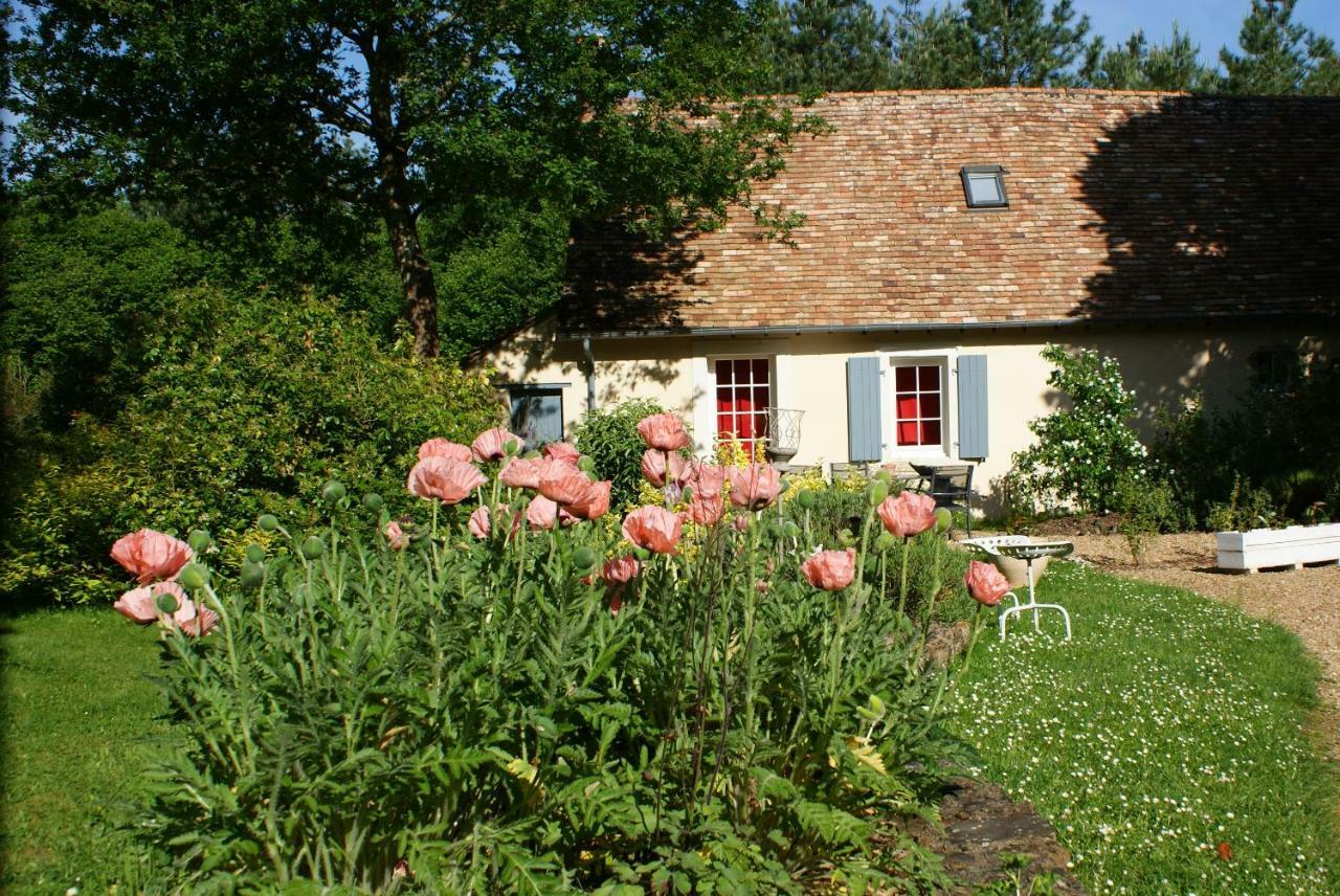 Saint-Jean-du-Bois La Chaine מראה חיצוני תמונה